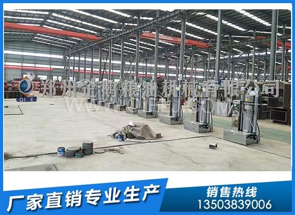 企鵝榨油機(jī):新疆10噸核桃油壓榨生產(chǎn)線安裝進(jìn)行中(圖2) 液壓榨油機(jī)